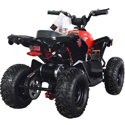 36V 1.0 kW Lead Acid ATV