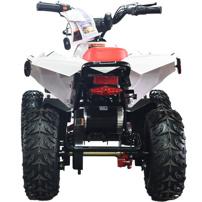 36V 1.0 kW Lead Acid ATV