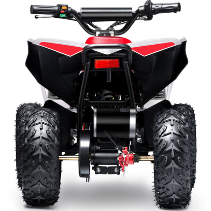 36V 1.0 kW Lead Acid ATV