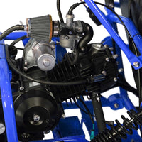 Gokart GK110 Upgraded 125Cc Go Kart Gas Fully Automtatic with Reverse Youth Kids 2 Seater 125Cc Kart (Black Color)