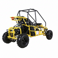 Youth Go Kart Built for Adventure, 125CC Gas Engine, Automatic Transmission, Hydraulic Disc Brakes